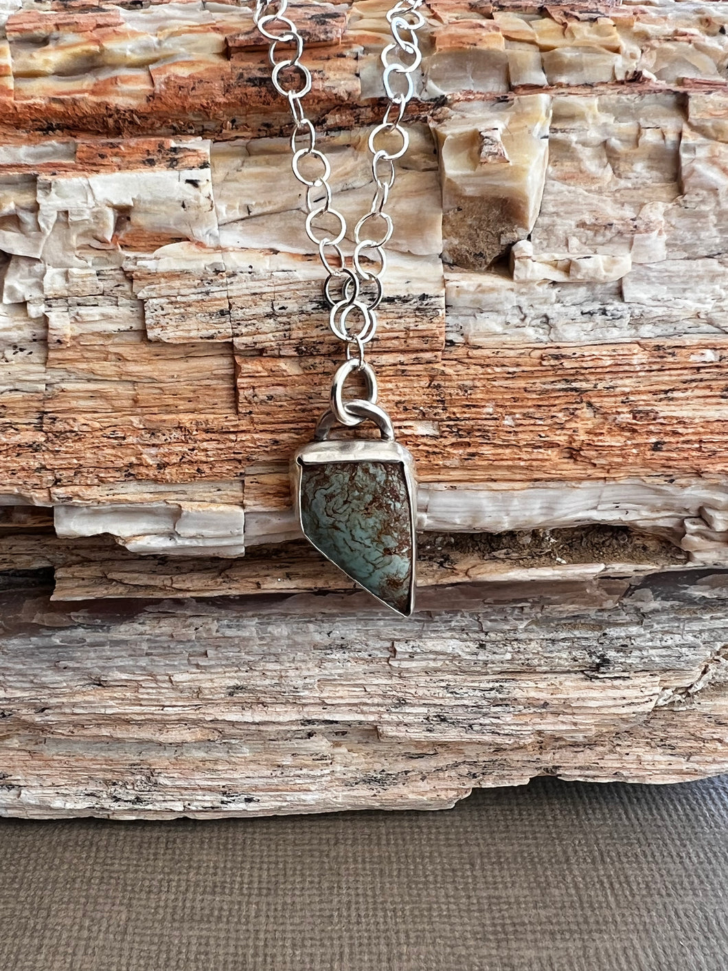 Rustic Nevada