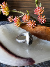 Load image into Gallery viewer, Smooth Buffalo