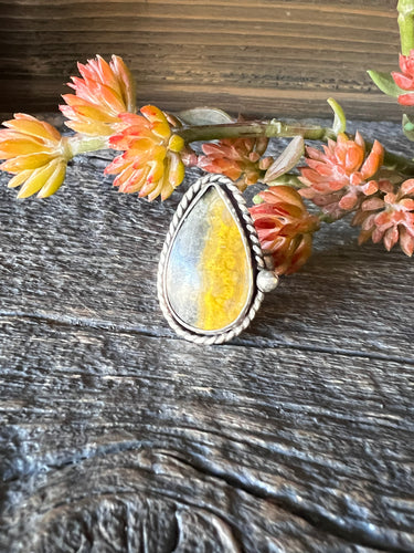 Bumblebee Jasper